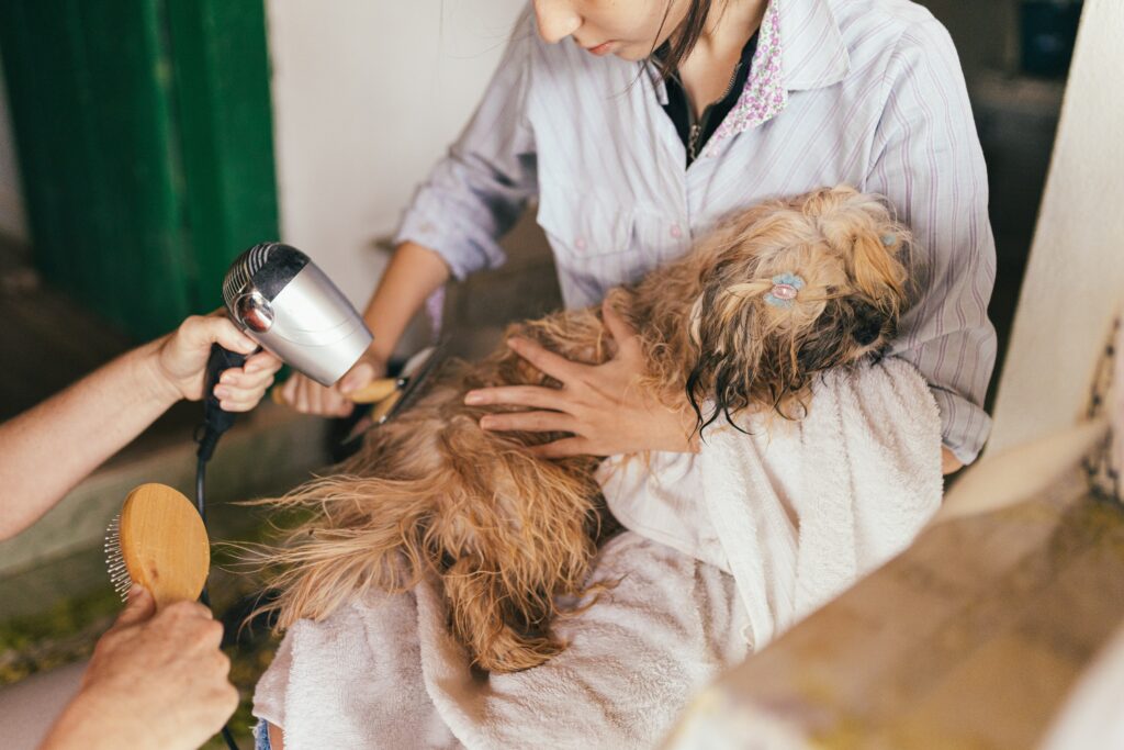 Business Plan for Dog Grooming